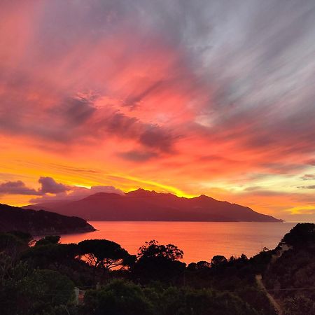 Hotel Scoglio Bianco Portoferraio Εξωτερικό φωτογραφία