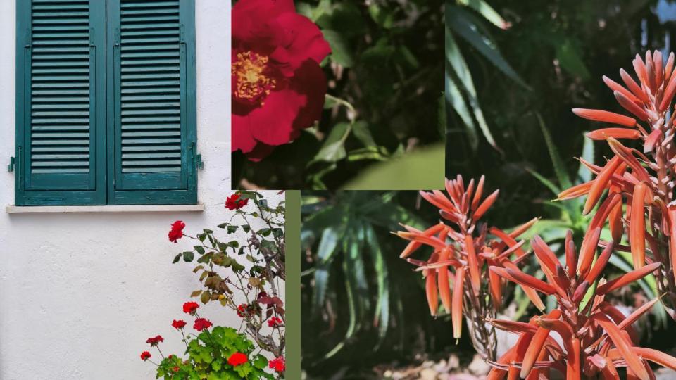 Hotel Scoglio Bianco Portoferraio Εξωτερικό φωτογραφία