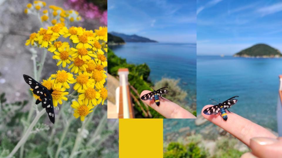 Hotel Scoglio Bianco Portoferraio Εξωτερικό φωτογραφία