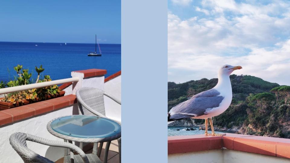 Hotel Scoglio Bianco Portoferraio Εξωτερικό φωτογραφία