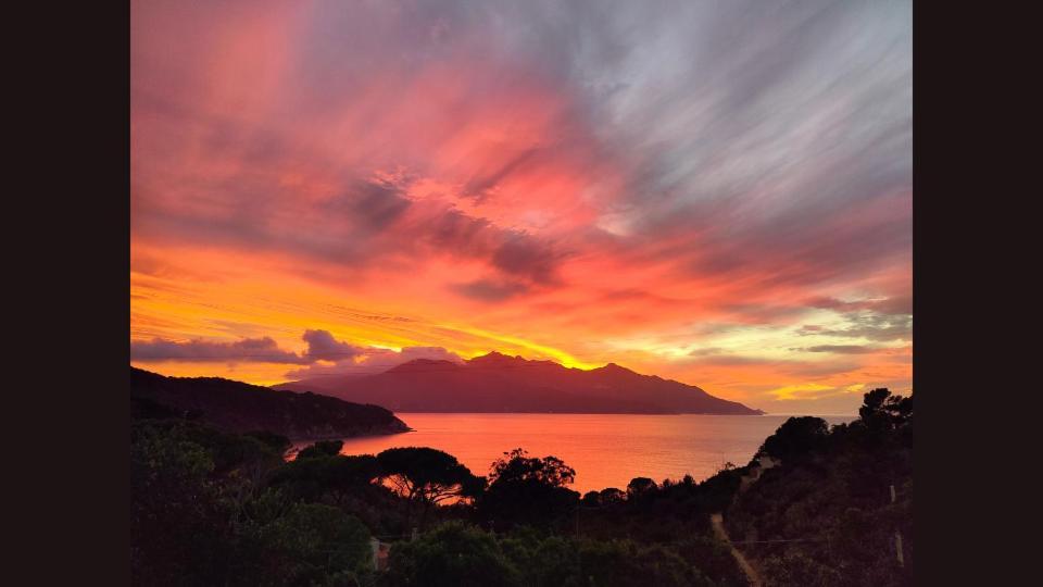 Hotel Scoglio Bianco Portoferraio Εξωτερικό φωτογραφία